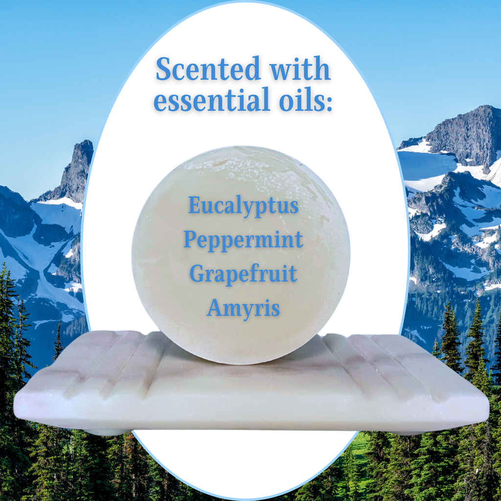 Dish Soap | Solid Puck