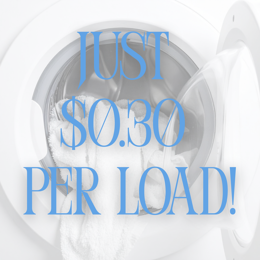 Laundry detergent with text 'JUST $0.30 PER LOAD!' displayed inside a washing machine.