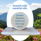 Dish Soap | Solid Puck